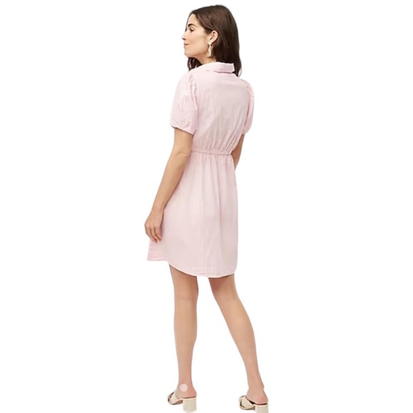 J. Crew NWT Short Sleeved Collared Mini Dress Pink and White Size 18 - Picture 3 of 10